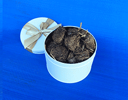 BUTT NUGGETS POOP BOMBS